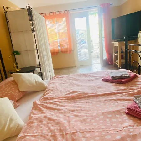Olga Guest house
