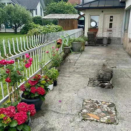 Olga Bled