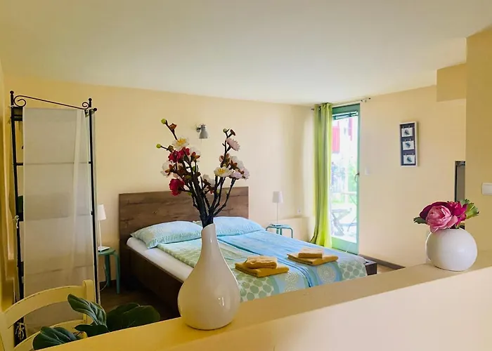 בית הארחה Olga