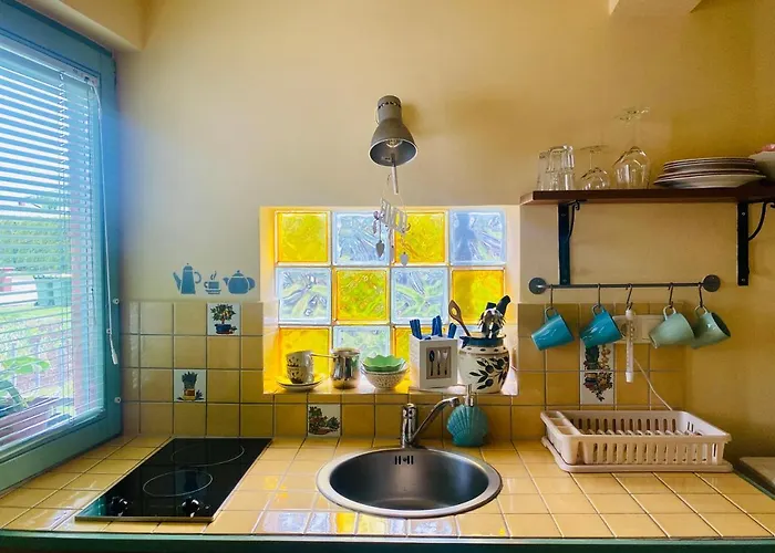 Olga Hiša za goste 3*