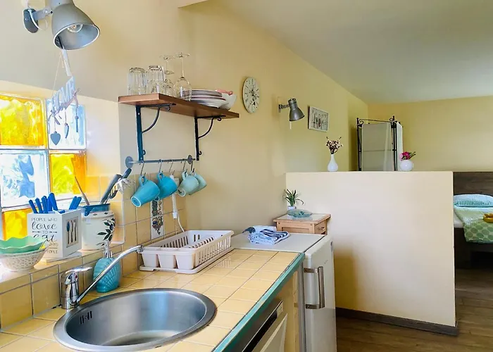 Hiša za goste Olga 3*